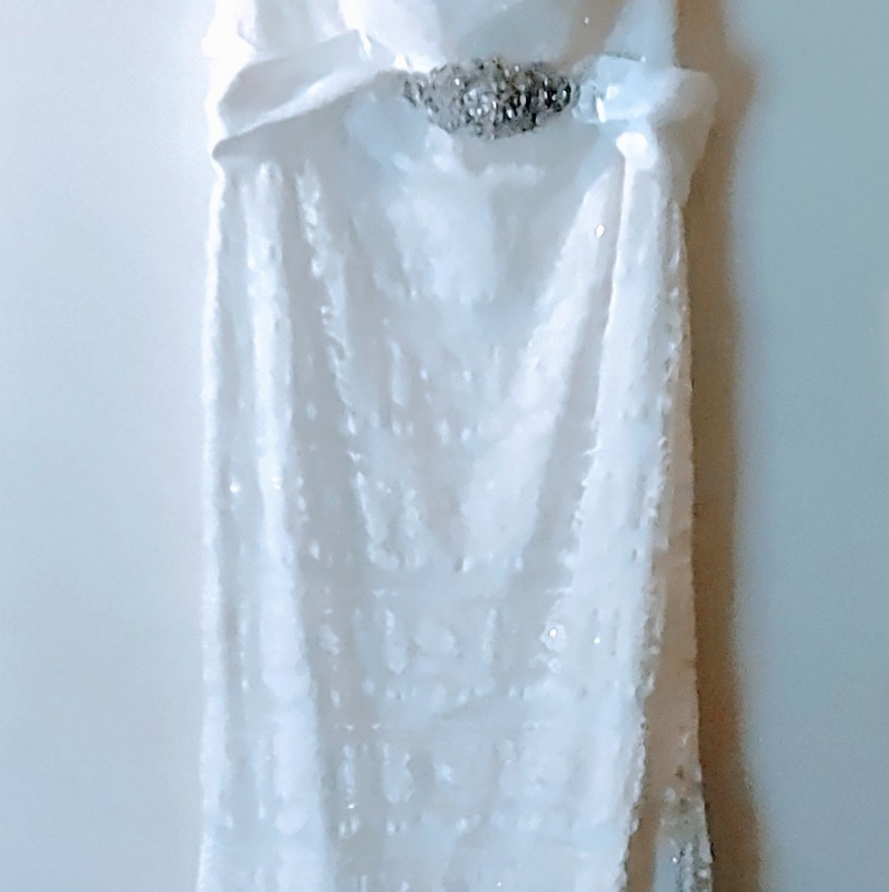 Wedding Dress and Vail